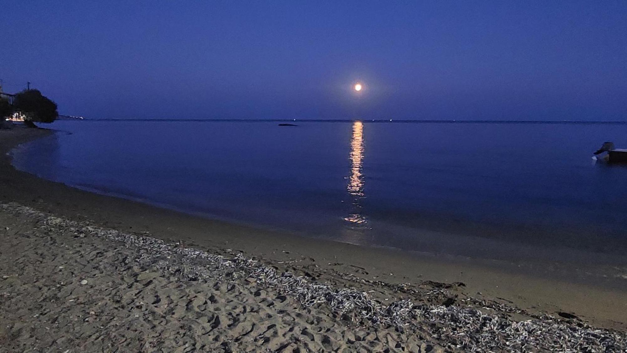 Fotis Beach Apartment At Komi Komi  Dış mekan fotoğraf