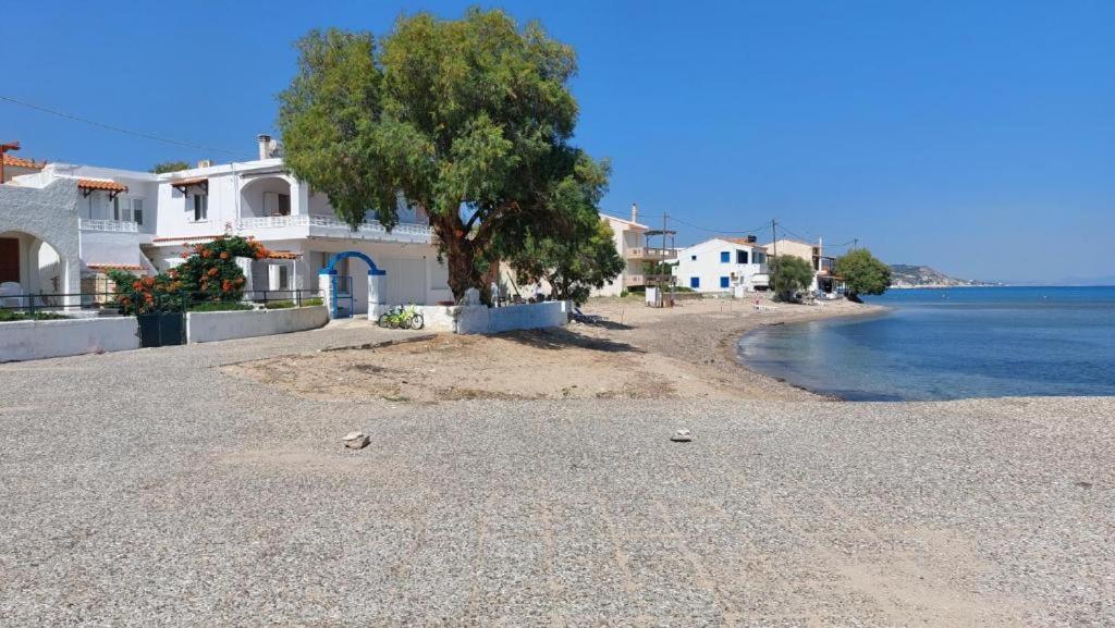 Fotis Beach Apartment At Komi Komi  Dış mekan fotoğraf